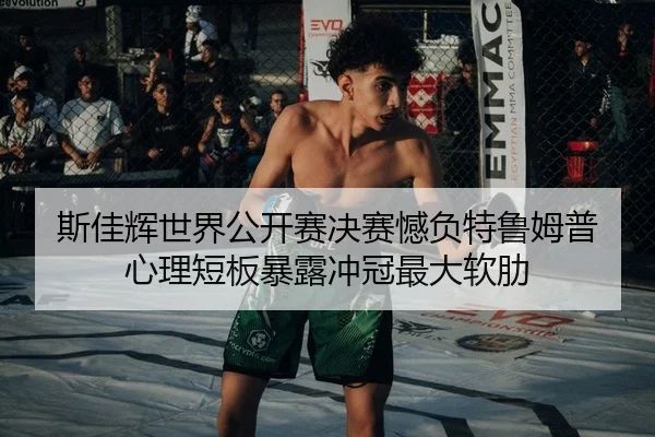 si-jia-hui-shi-jie-gong-kai-sai-jue-sai-han-fu-te-lu-mu-pu-xin-li-duan-ban-bao-lu-chong-guan-zui-da-ruan-lei-2-252.jpg
